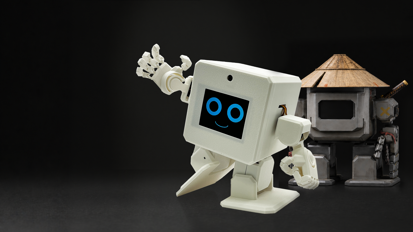 Ninja Robotics Education